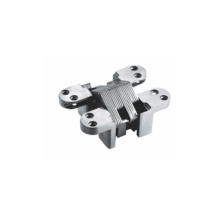 Concealed Mortise Hinges SCH001