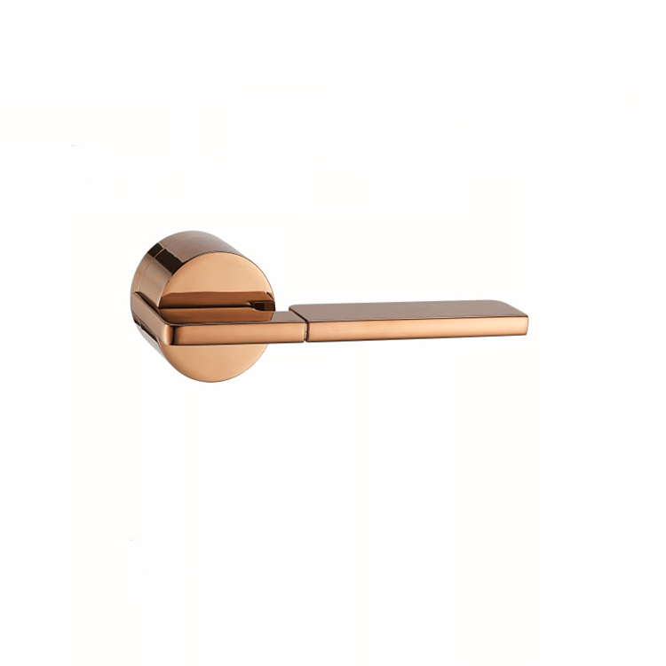 DOOR HANDLE 20N04802 CP