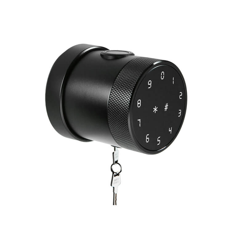 Smart locks RE021